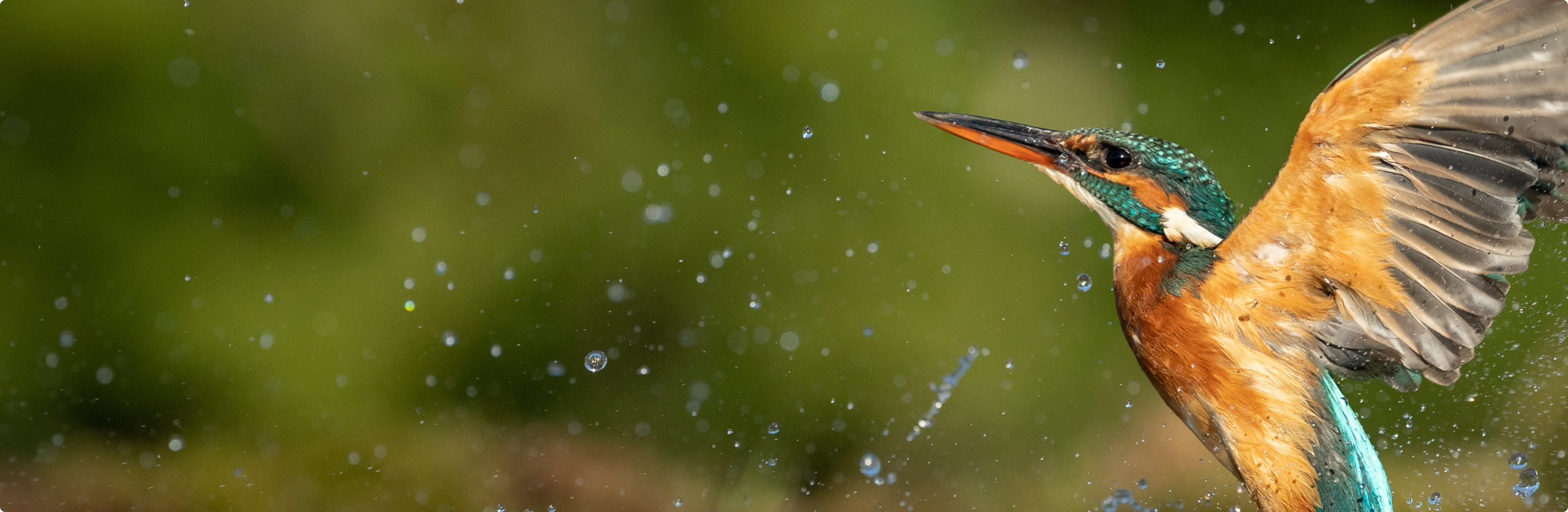 Watch Sorted Money Month ‑ saving for the unexpected Fisher Funds