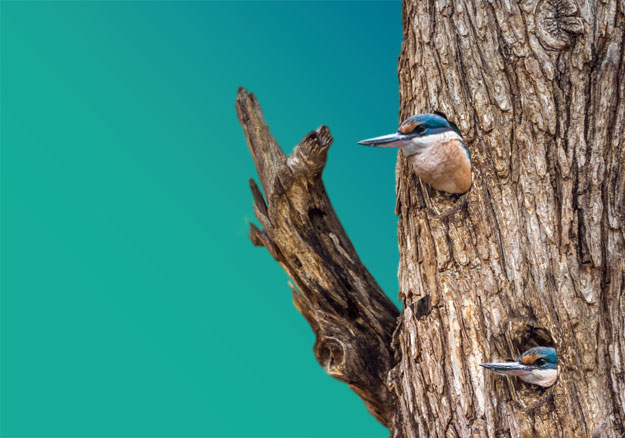 Your portfolios: Highlights and lowlights